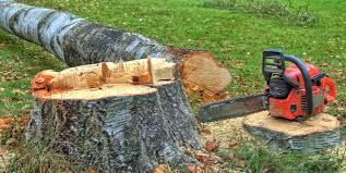 Best Tree Trimming and Pruning  in West Point, UT